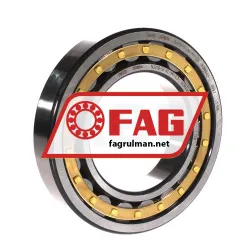 FAG NJ216-E-XL-M1-C3