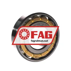 FAG N310-E-XL-M1-C3