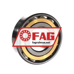 FAG N310-E-XL-M1-C3 rulman resim 2