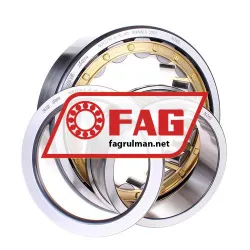 FAG NUP2219-E-XL-M1 rulman resim 2