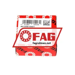 FAG RNU2204-E-XL-TVP2 rulman resim 3