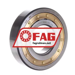 FAG NUP311-E-XL-M1A-C4