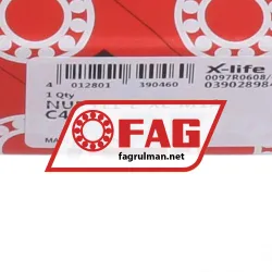 FAG NUP311-E-XL-M1A-C4 rulman resim 6