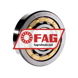 FAG NU415-XL-M1-C3