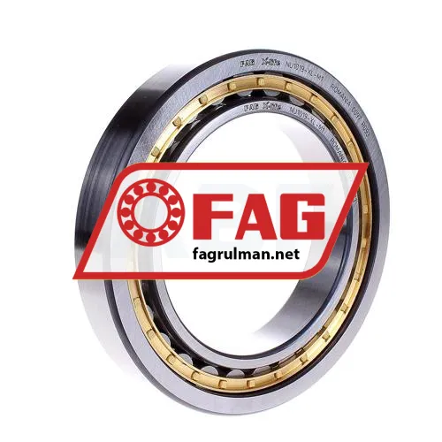 FAG NU1019-XL-M1