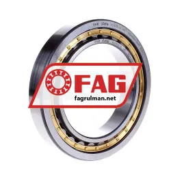 FAG NU1019-XL-M1