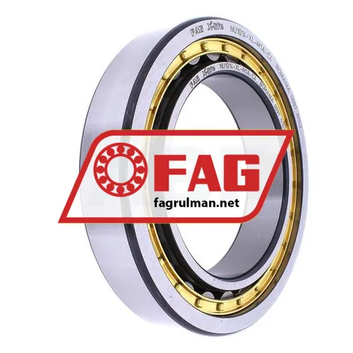 FAG NU1014-XL-M1A-C4