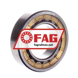 FAG NJ2210-E-XL-M1A-C4