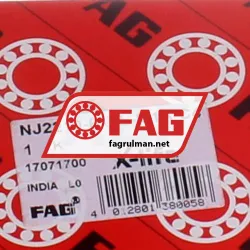 FAG NJ2210-E-XL-M1A-C4 rulman resim 5