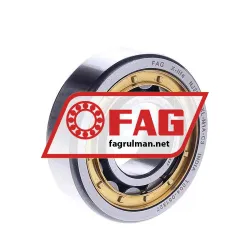 FAG NJ204-E-XL-M1A-C3