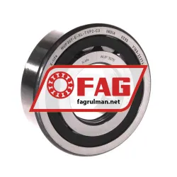FAG NUP307-E-XL-TVP2-C3