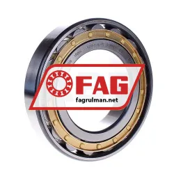 FAG N219-E-XL-M1