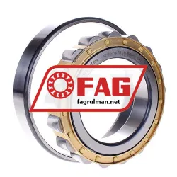 FAG N219-E-XL-M1 rulman resim 2