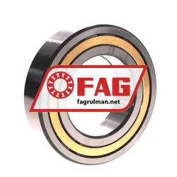 FAG NUP2217-E-XL-M1-C3 rulman resim 2