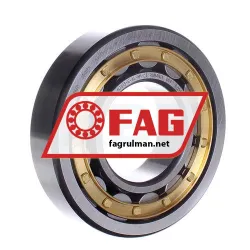 FAG NJ313-E-XL-M1-C3