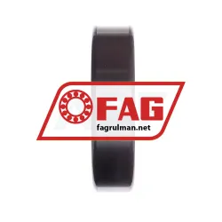 FAG NJ313-E-XL-M1-C3 rulman resim 4