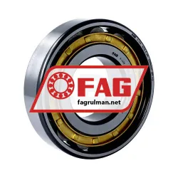 FAG N312-E-M1