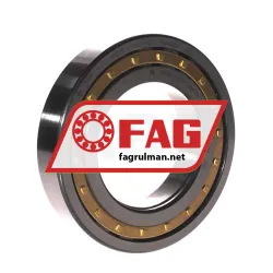 FAG NUP215-E-M1-F1-C3