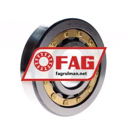 FAG NJ414-M1