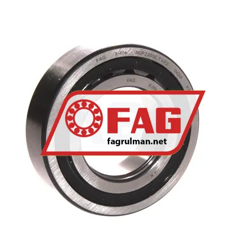 FAG NUP2209E-TVP2