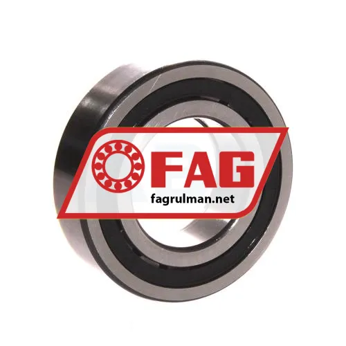 FAG NUP2209E-TVP2 ürün fotoğrafı 2