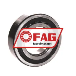 FAG NUP2209E-TVP2