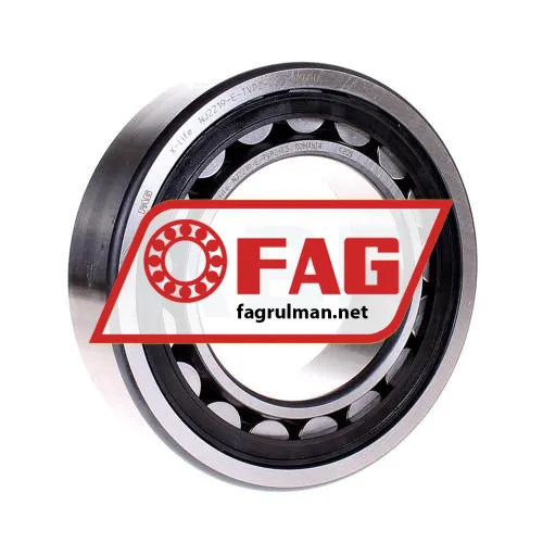 FAG NJ2219E-TVP2-C3