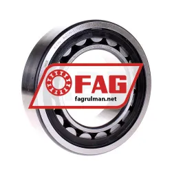 FAG NJ2219E-TVP2-C3