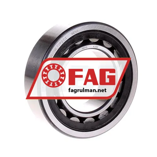 FAG NJ2209E-TVP2-C3