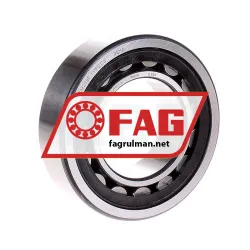 FAG NJ2209E-TVP2-C3