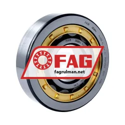 FAG NJ409-XL-M1A-C4