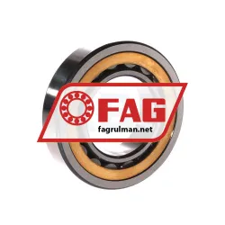 FAG NU209-E-XL-M1A-C3 rulman resim 2