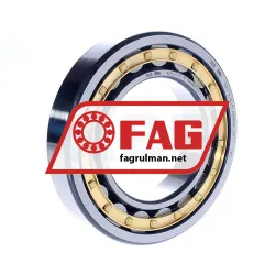 FAG NJ317-E-XL-M1