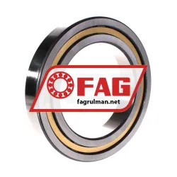FAG NJ1026-XL-M1 rulman resim 2