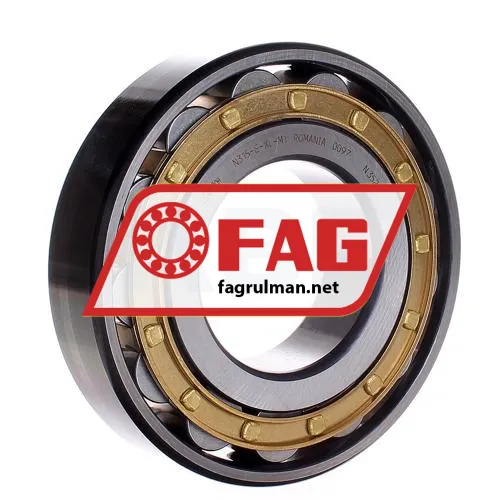 FAG N315-E-XL-M1