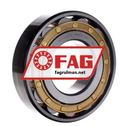 FAG N315-E-XL-M1