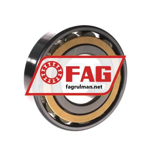 FAG N310-E-XL-M1 ürün fotoğrafı 2