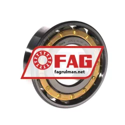 FAG N310-E-XL-M1