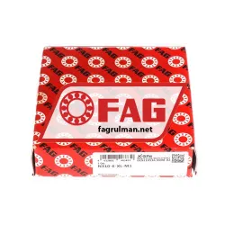FAG N310-E-XL-M1 rulman resim 4