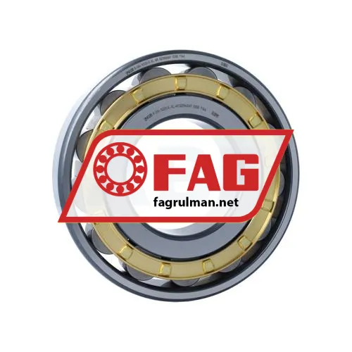 FAG N320-E-XL-M1