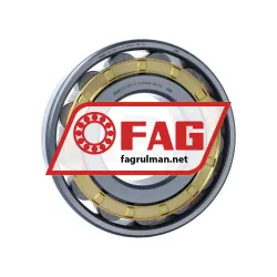 FAG N320-E-XL-M1