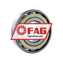 FAG N320-E-XL-M1 rulman resim 2