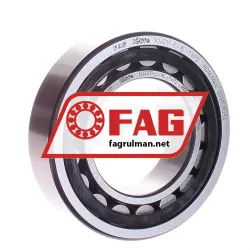 FAG NJ2211-E-XL-TVP2