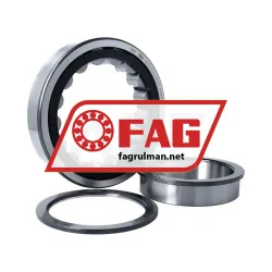 FAG NUP220-E-XL-TVP2-C3