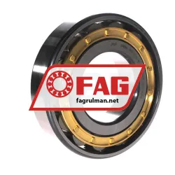 FAG N317-E-XL-M1-C3