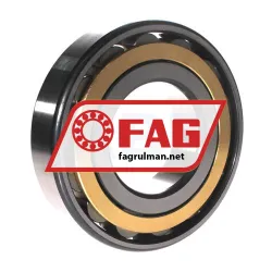 FAG N317-E-XL-M1-C3 rulman resim 2