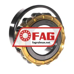 FAG N317-E-XL-M1-C3 rulman resim 3