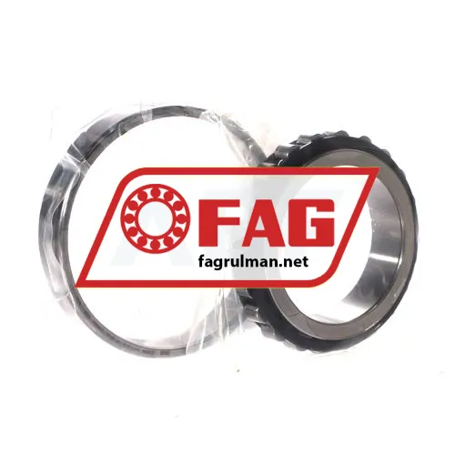 FAG N1011-D-K-TVP-SP-XL