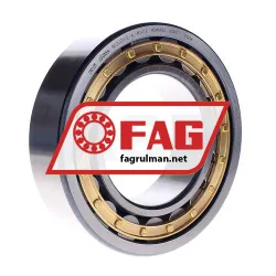 FAG NU2220-E-XL-M1-C3