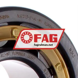 FAG NJ2313-E-XL-M1 rulman resim 2